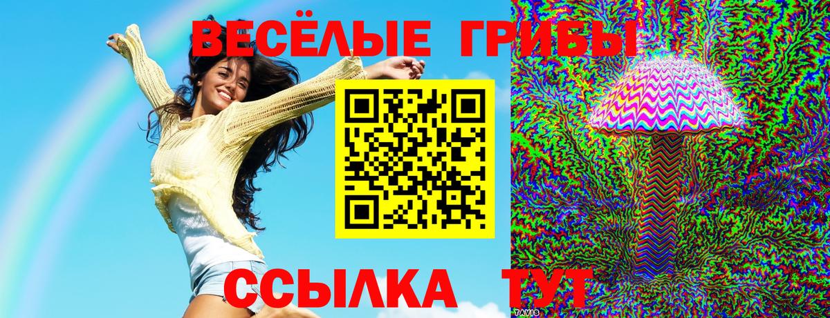 Галлюциногенные грибы MAGIC MUSHROOMS Мурманск