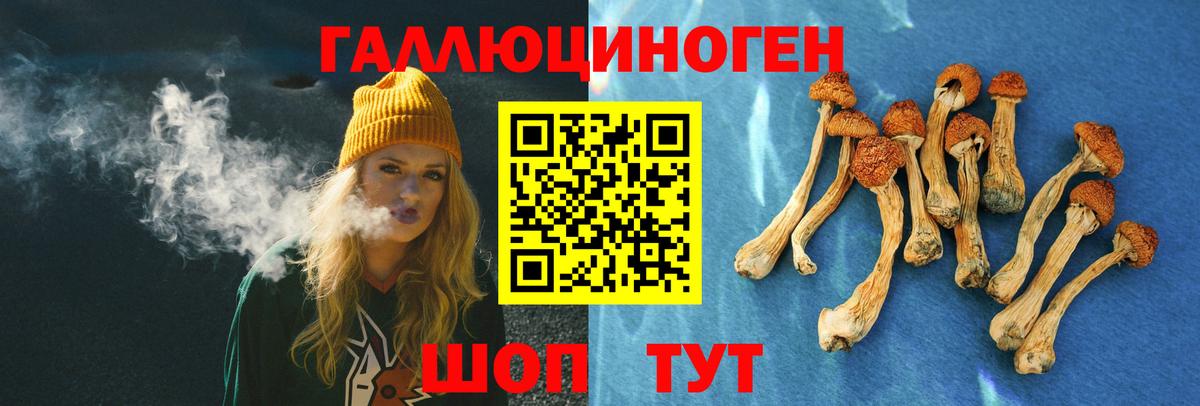Псилоцибиновые грибы ЛСД  Галлюциногенные грибы Psilocybine cubensis  Мурманск  как найти закладки  Вход с VPN 